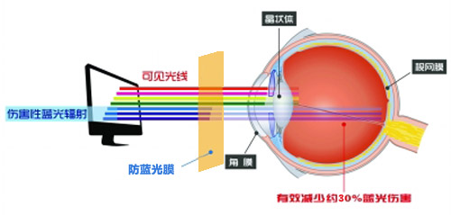 美成最新科技成果 防藍(lán)光膜成護(hù)眼利器